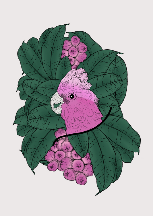 Galah - Throw Blanket